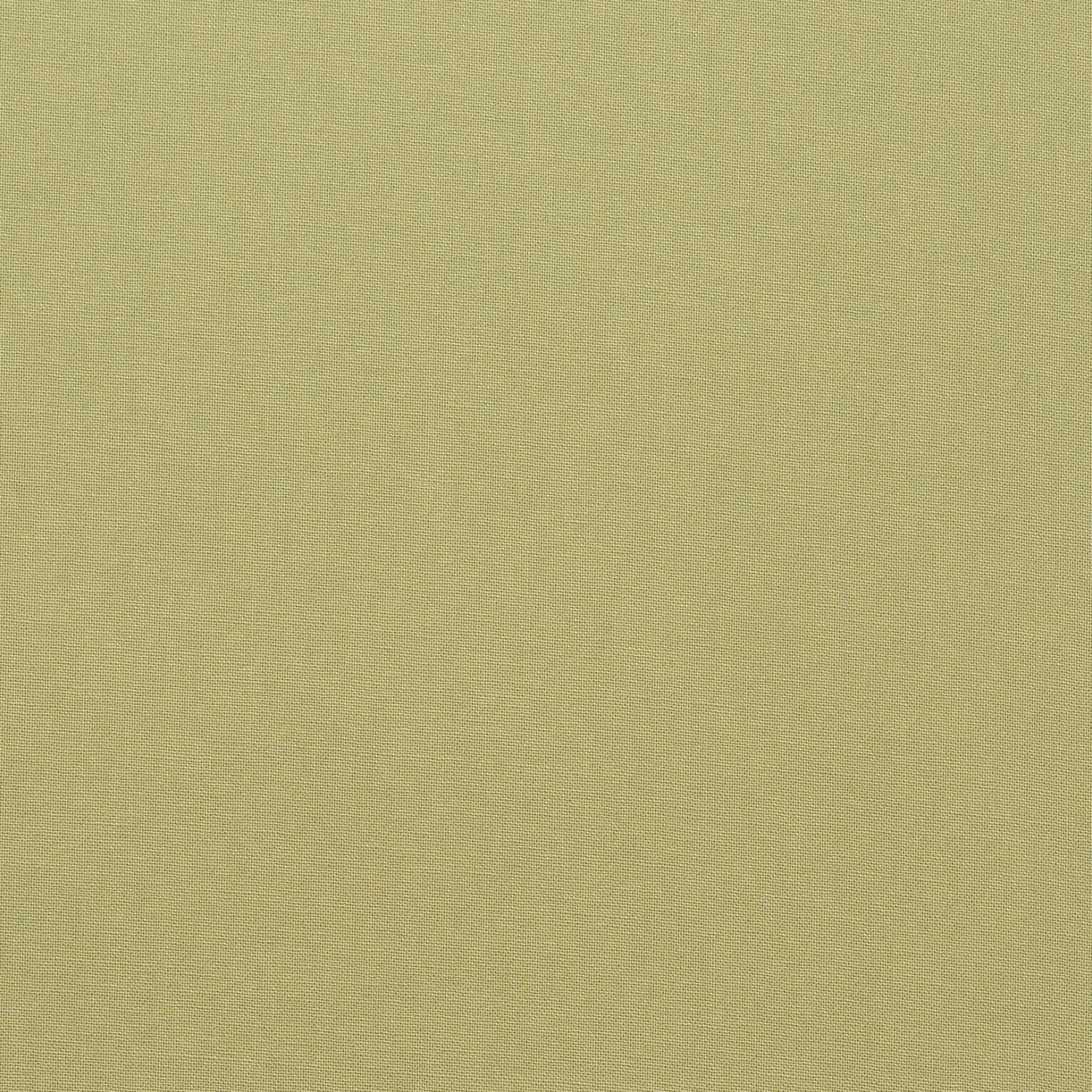 Close view of C011 Sage Green Classic Fabric